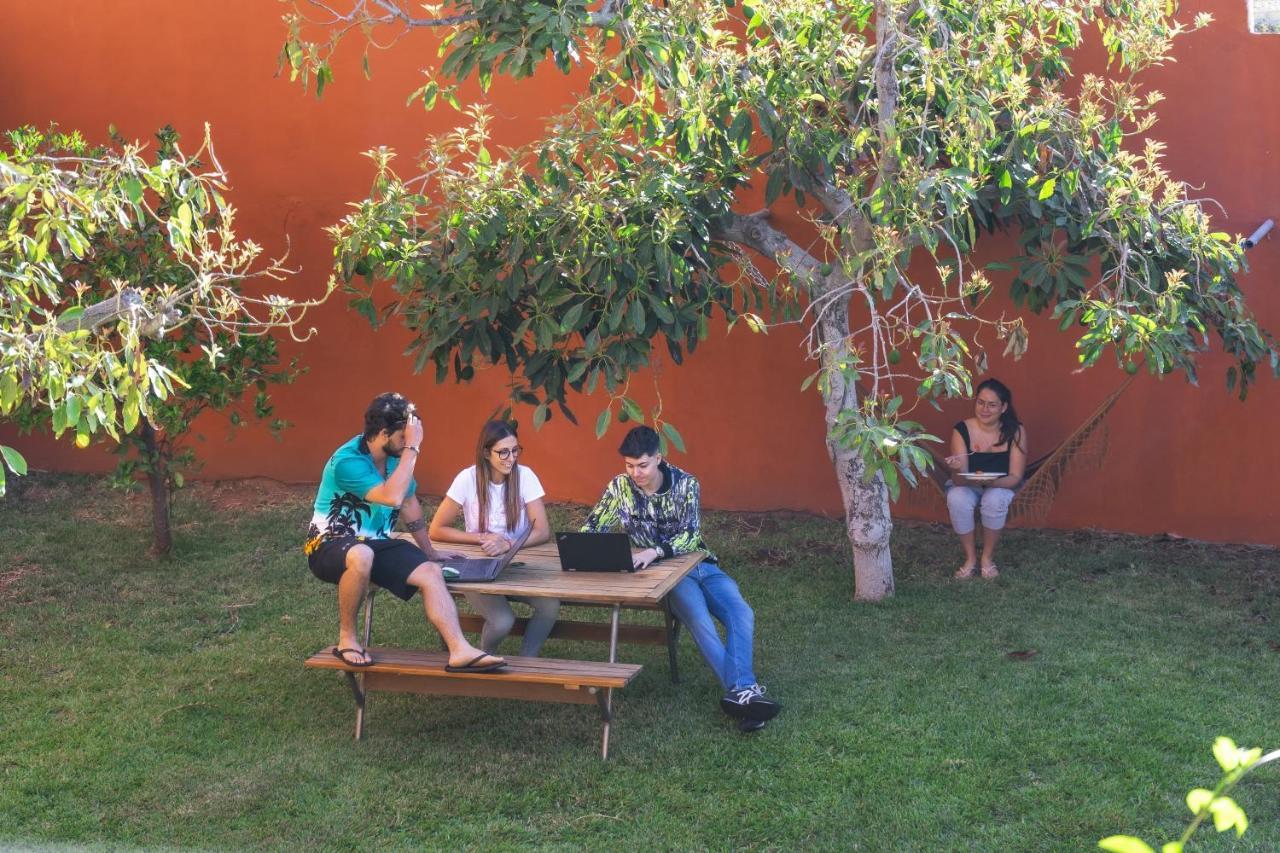 Cactus Coliving & Coworking Bed & Breakfast *