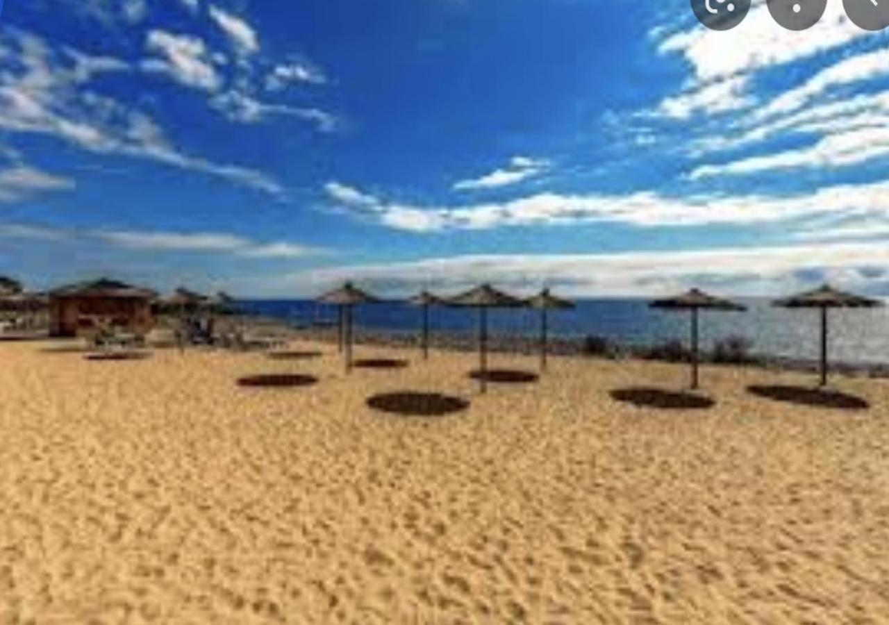 Sweet Caroline * San Miguel de Abona