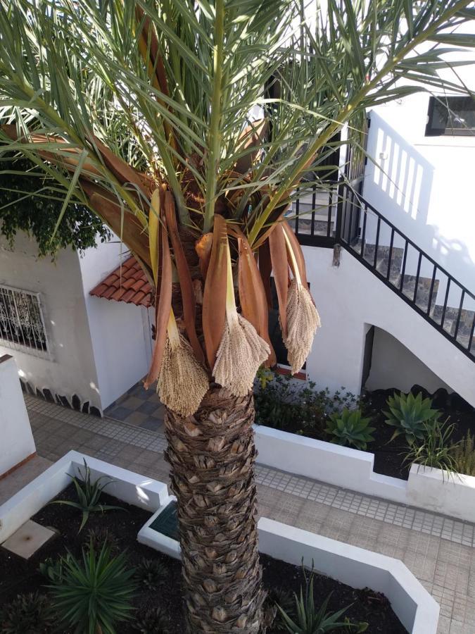 Con Grande Terraza Y Con 4 Piscinas