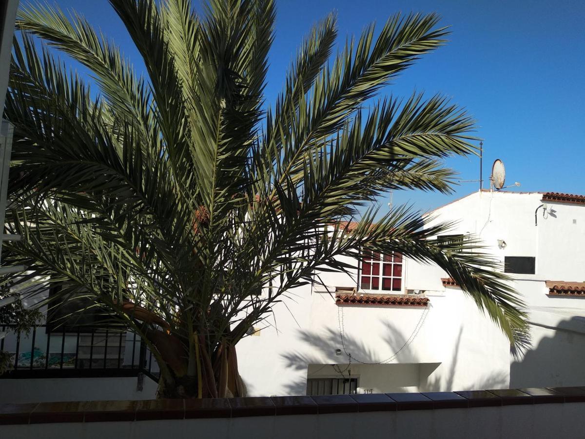 Con Grande Terraza Y Con 4 Piscinas