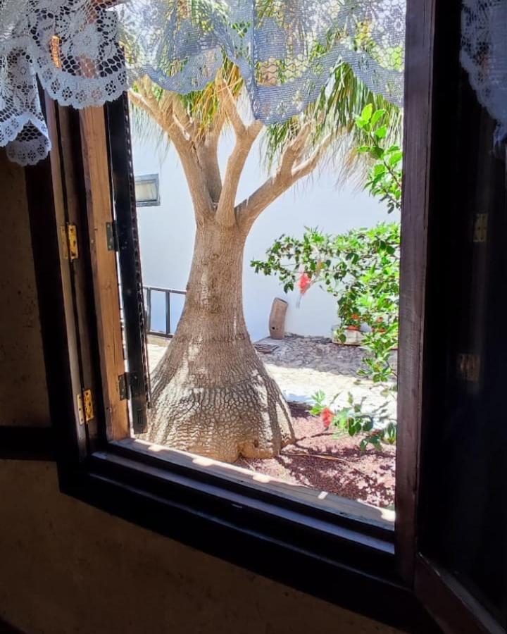 Casa El Drago De Arico Hébergement de vacances *