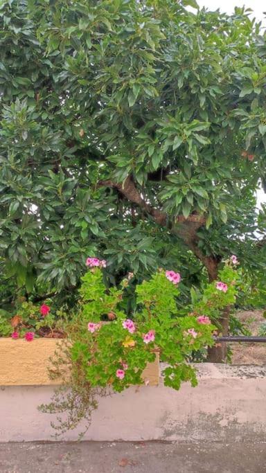 Holiday home Casa Luisa Icod De Los Vinos