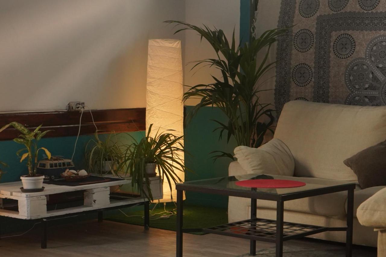 Single Fin Surf Auberge de jeunesse *