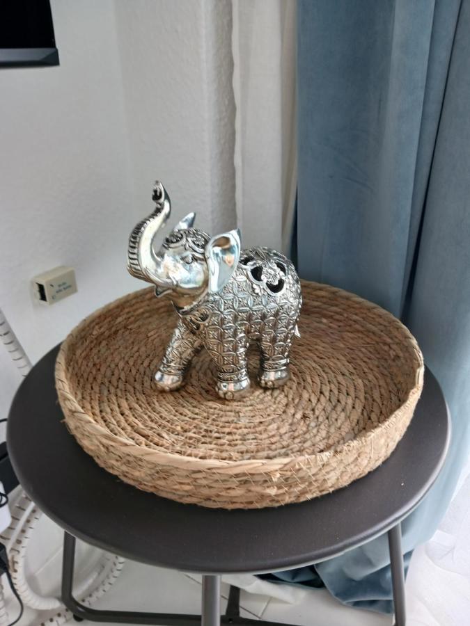 Chillout Albatros In Toller Anlage Mit Pool Apartment