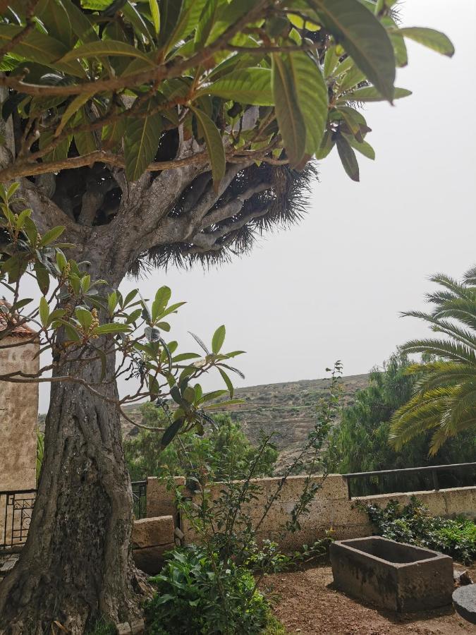 Casa El Drago De Arico Hébergement de vacances