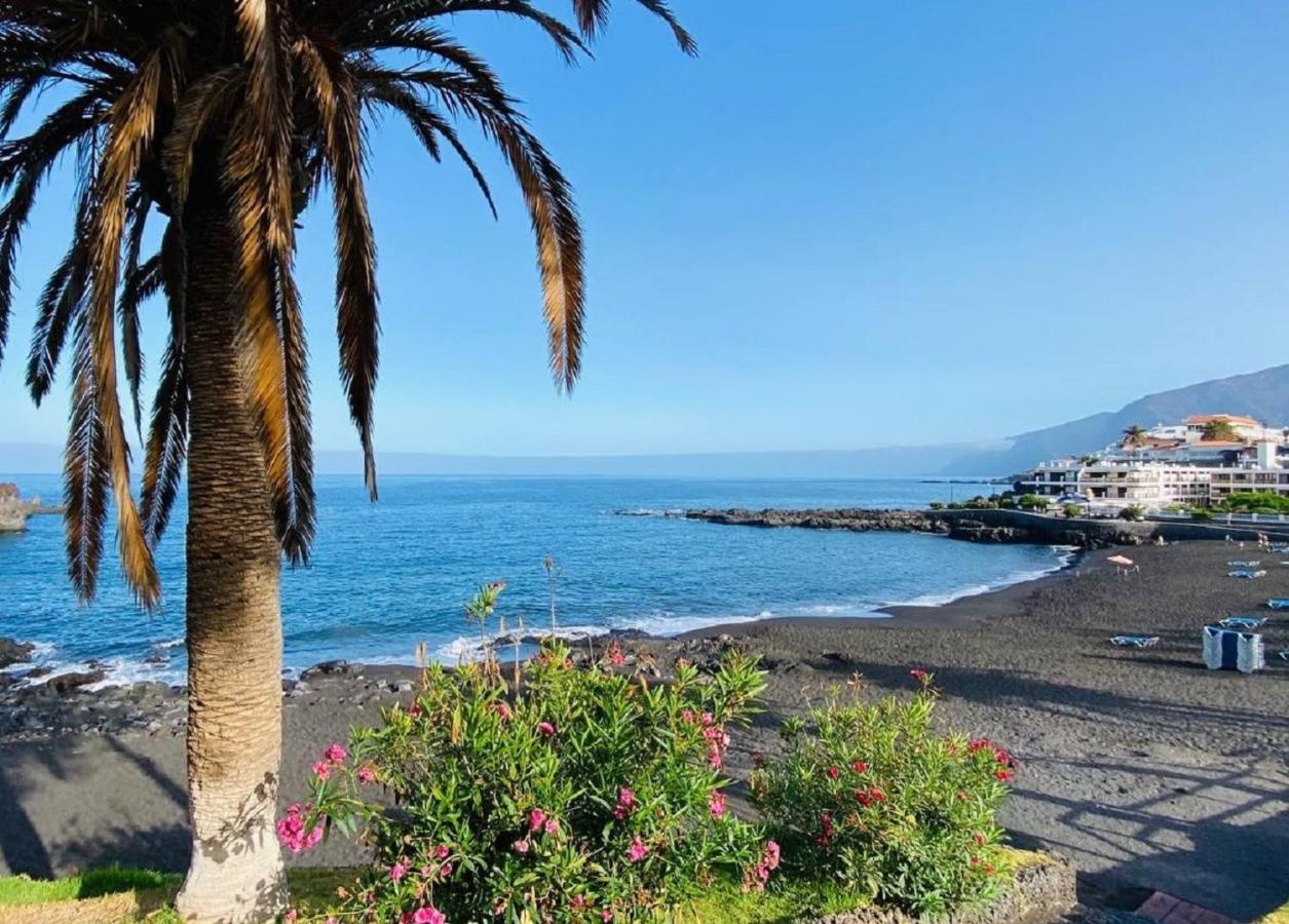 Buenavista Sunflower In Playa La Arena