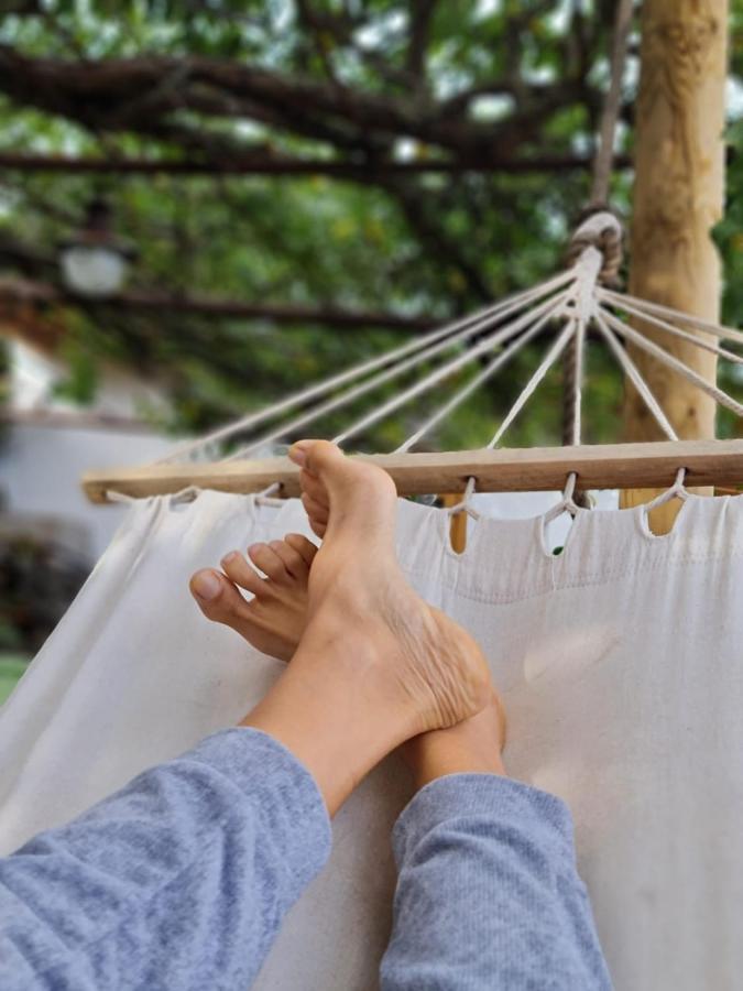 Huertos Conect With The Nature & Relax Holiday home Icod De Los Vinos