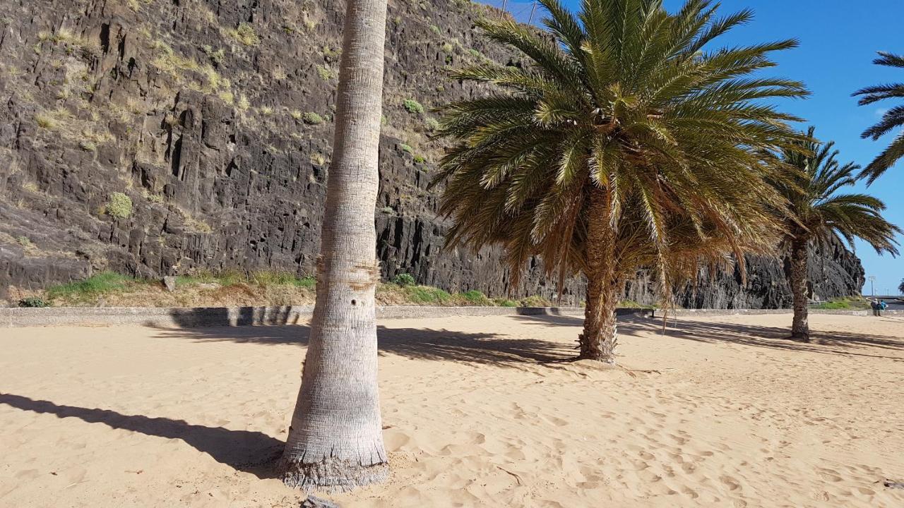 Guest house Casa Tortuga Santa Cruz de Tenerife
