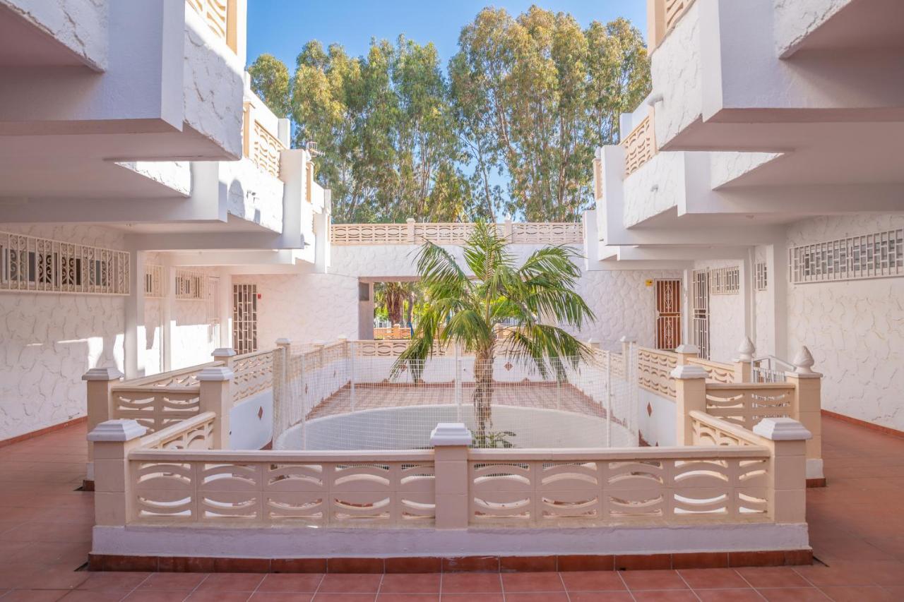 Oasi Tenerife
