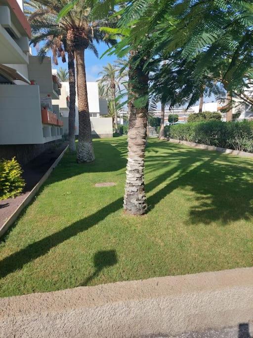 Appartement Lovely With Pool