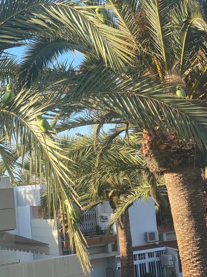 Lovely With Pool Costa Del Silencio