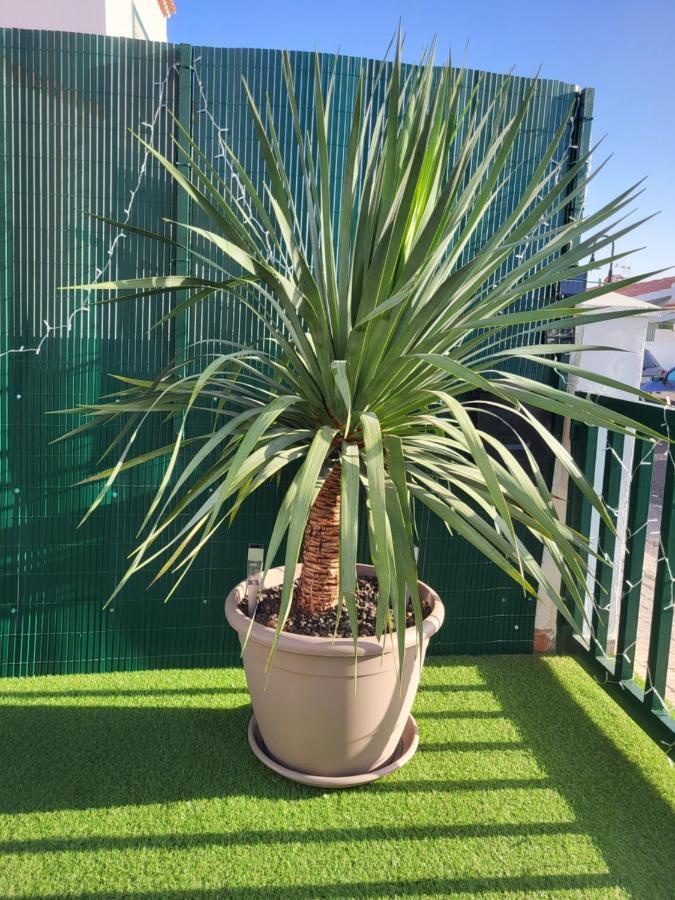 Maravillas De Tenerife Appartement Abades (Tenerife)