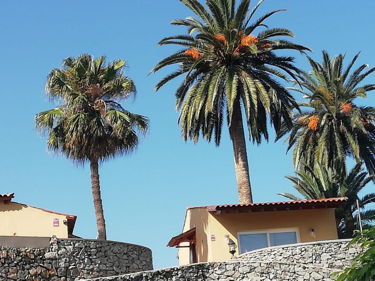 Apartment Cristina Sol H1 Puerto de la Cruz (Tenerife)