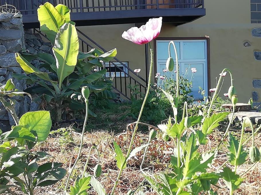 Apartment Cristina Sol H1 *