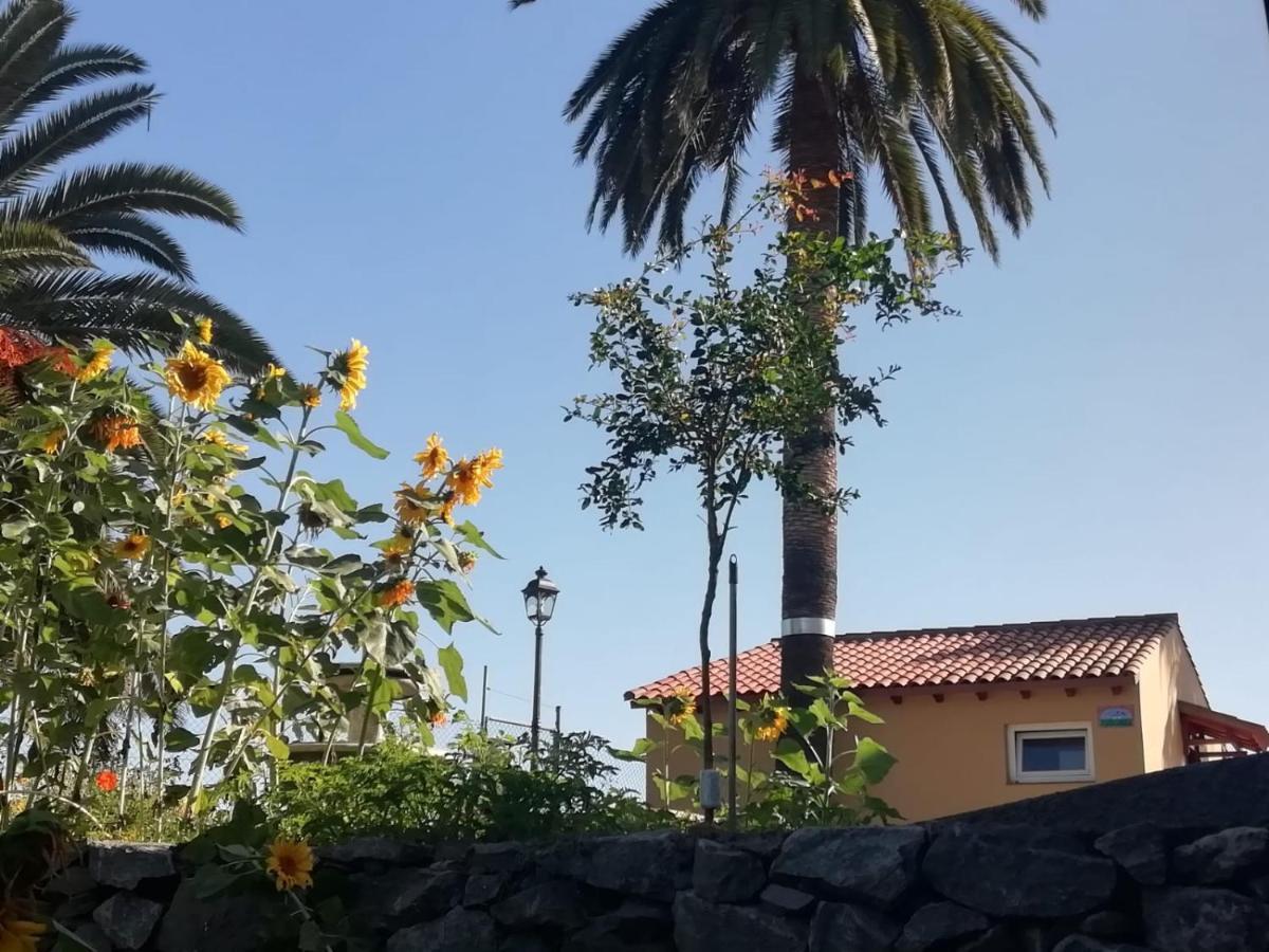 Apartment Cristina Sol H1 *