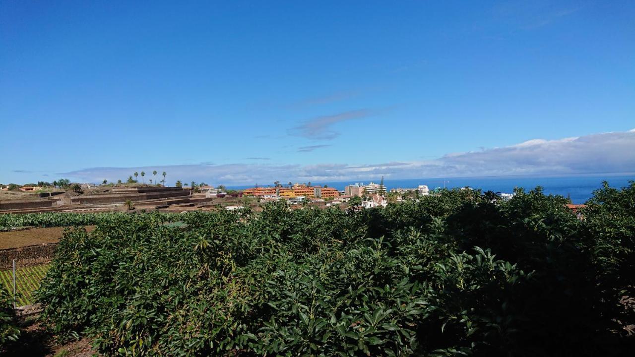Cristina Sol H1 Apartment *