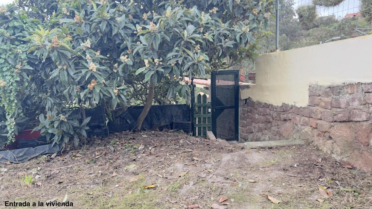 La Bodega De Julian * Tegueste