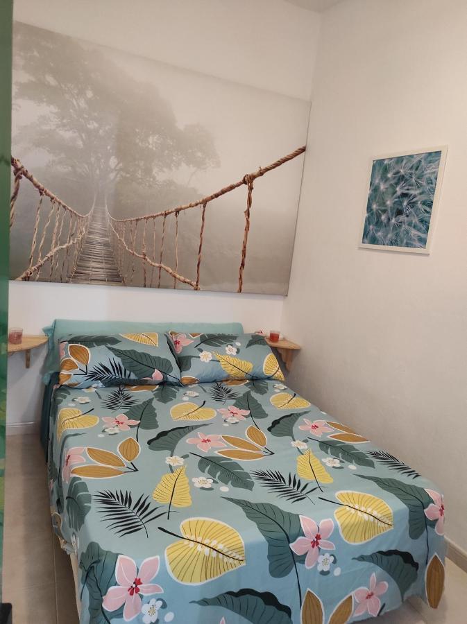 Playa Celeste Tajao Hébergement de vacances