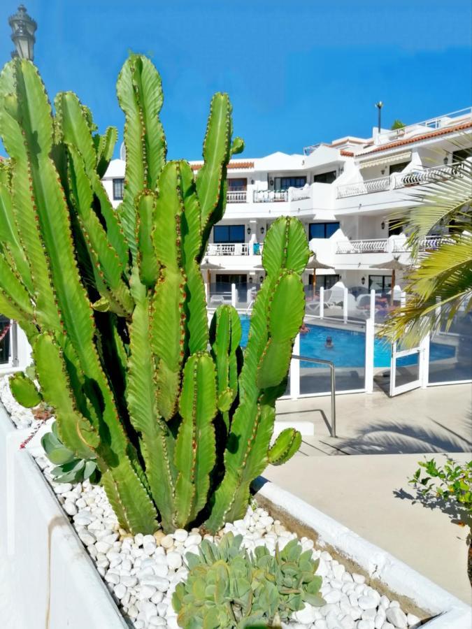 Aguamarina - Diamantes 2 Apartment