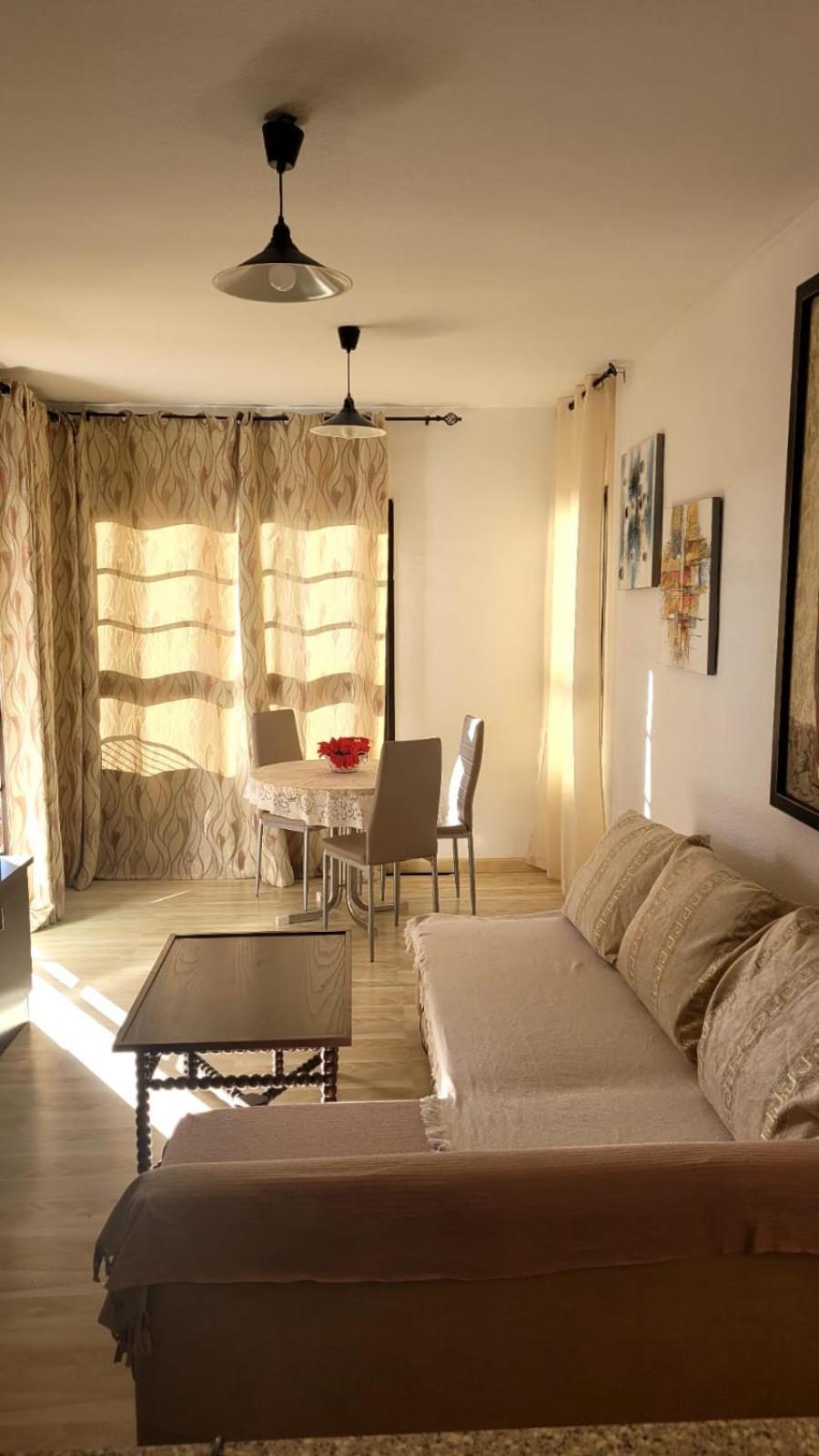 Apartment Oceanfront La Arena