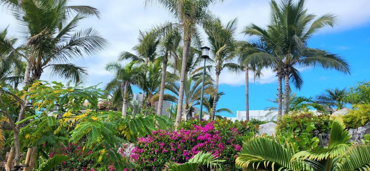 Golf Del Sur Canadas Apartment