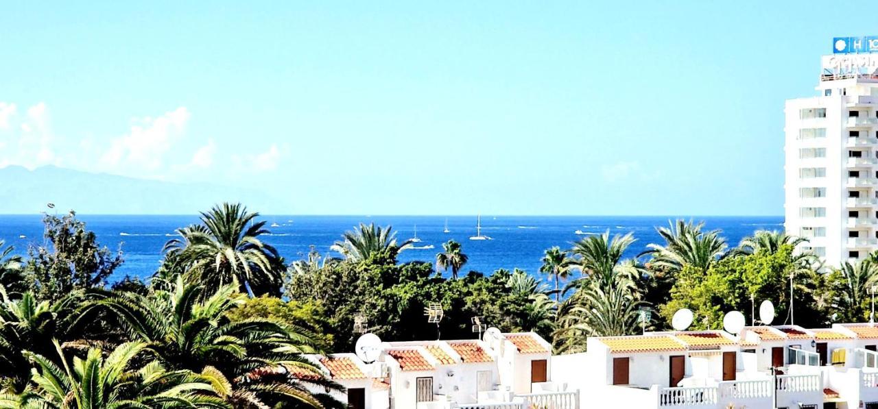 Agaves Ocean View