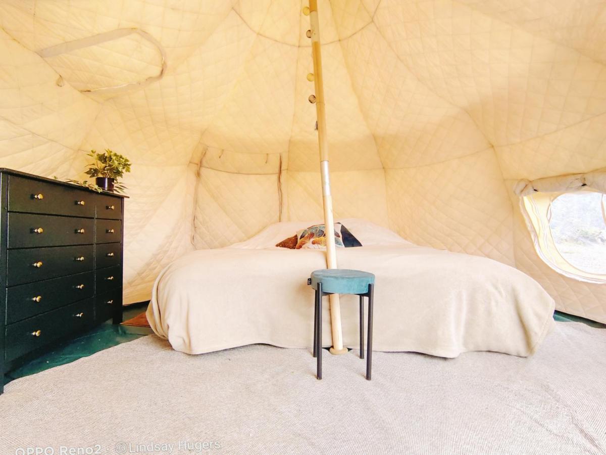 Free Canari - Los Alamos 8 Luxury tent