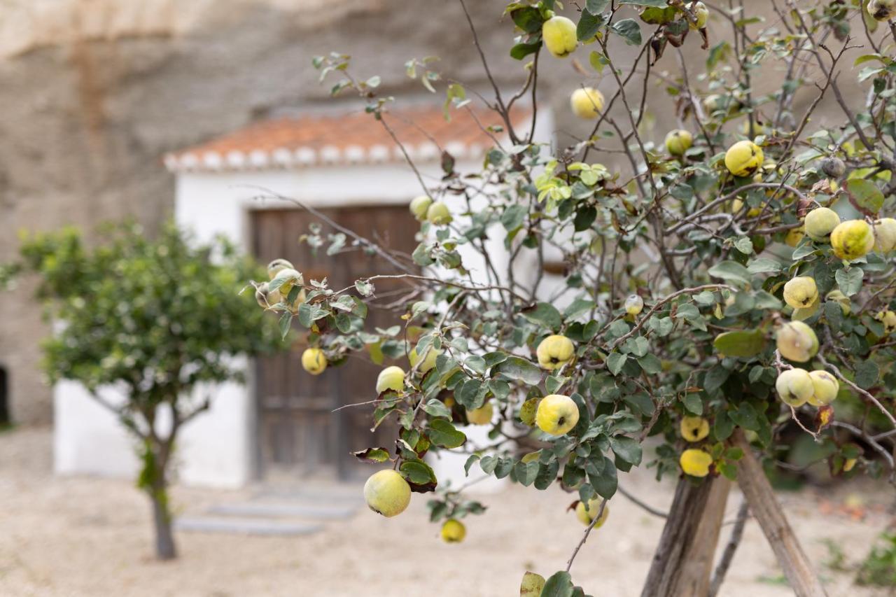 L2alma Villa Granadilla De Abona