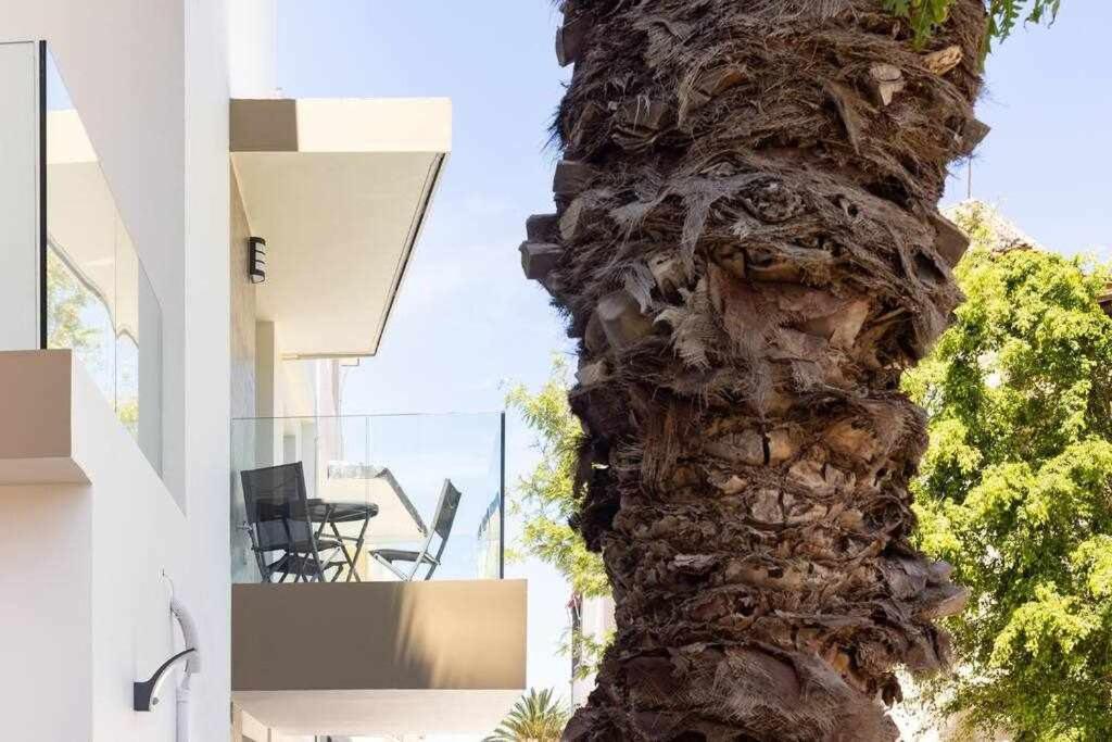 Sunnyland Martianez 3 Appartement