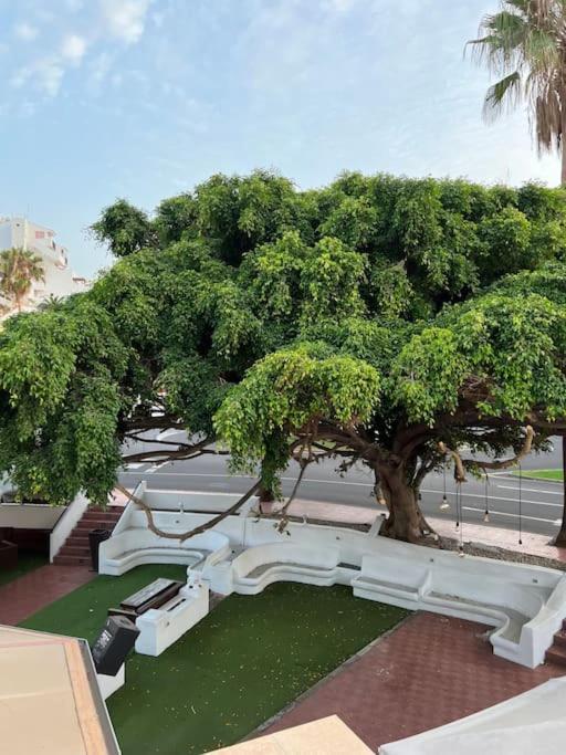 Cozy Apartment Costa Adeje (Tenerife)