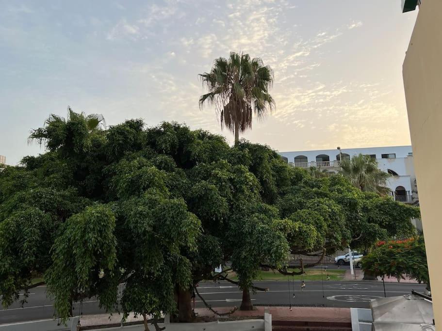 Cozy Apartment Costa Adeje (Tenerife)