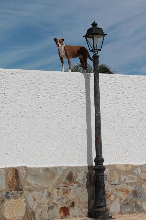 Golf View - Stunning Ocean View Golf Del Sur Appartement
