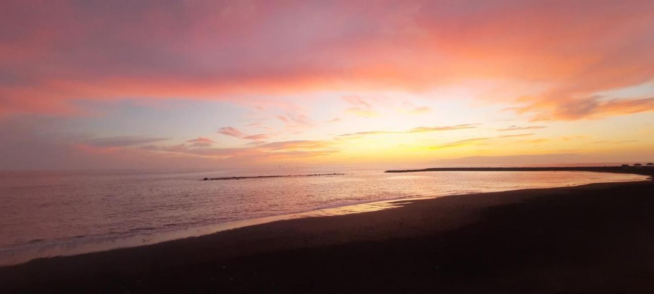 Bonny House Cristianos Sea View Free Wifi Appartement *