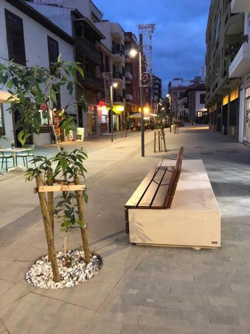Appartement Estudio Con Amplia Terraza En