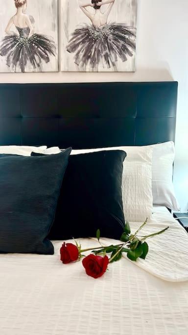 Centrico Y Acogedor Eva Appartement *