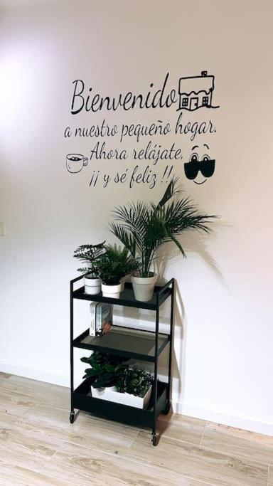 Appartement Centrico Y Acogedor Eva *