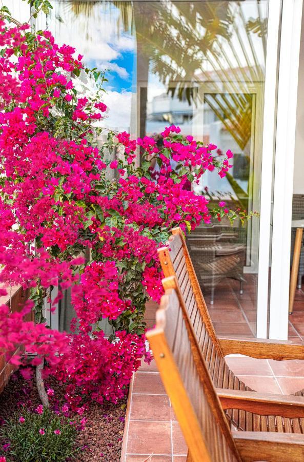 In The Garden Costa Adeje (Tenerife)