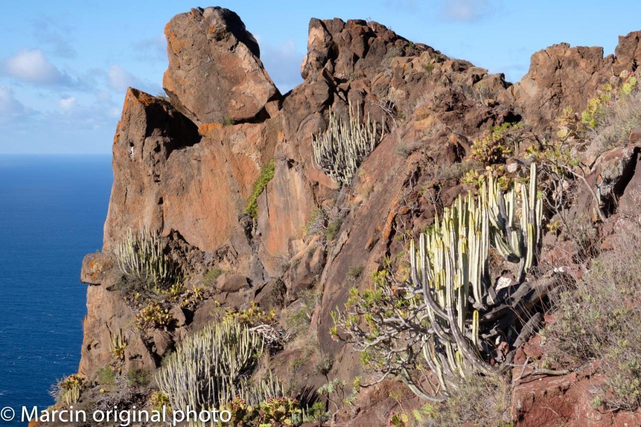 Tenerife Lizards - Duplex In The First Line Holiday home Callao Salvaje
