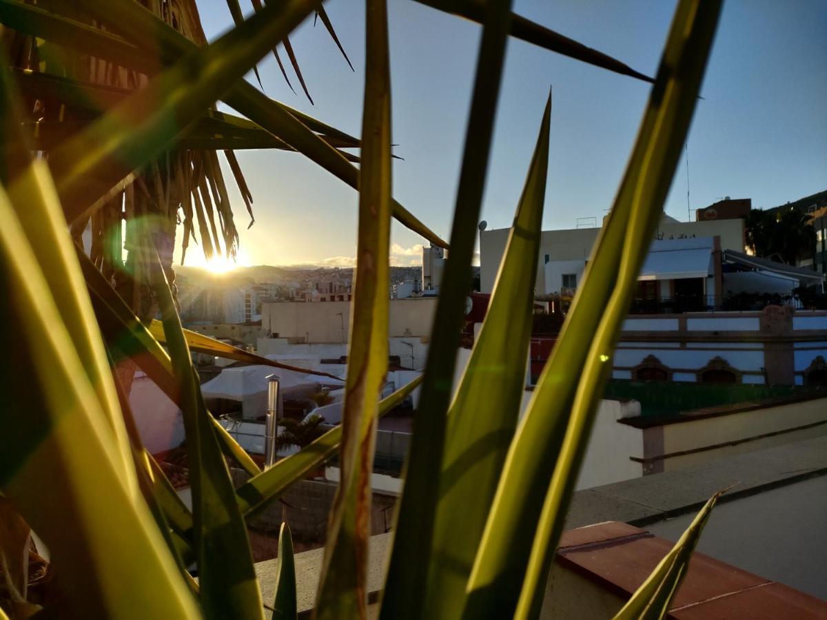 Apartment Terraza Del Atlantico, Un Oasis En La Ciudad Santa Cruz de Tenerife