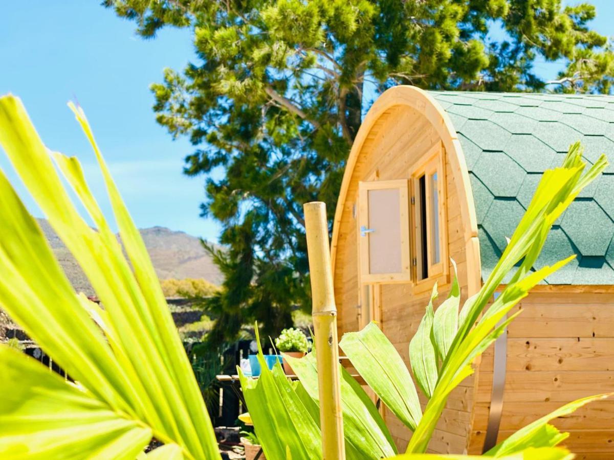 Hébergement de vacances Amani Con Jacuzzi Piscina Y Naturaleza Buzanada