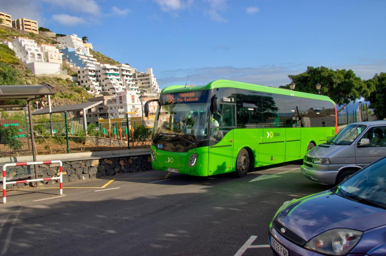Tenerife-tabaiba Tabaiba