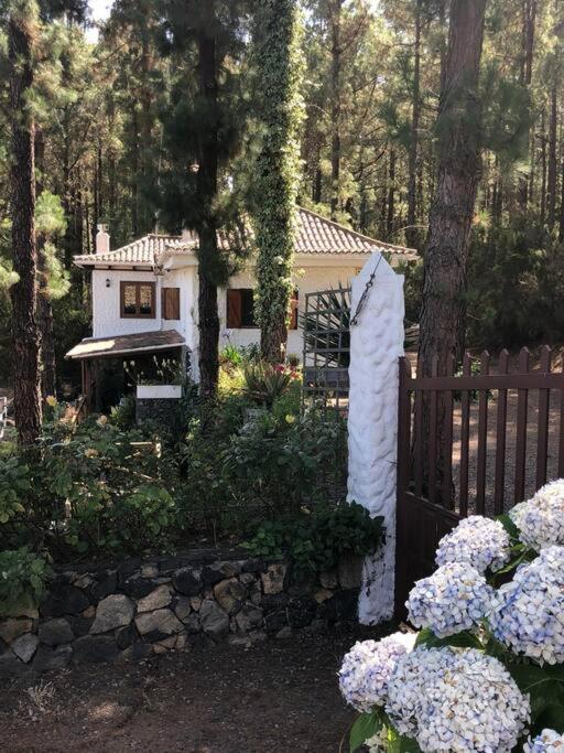Hébergement de vacances Floral Garden House Icod De Los Vinos