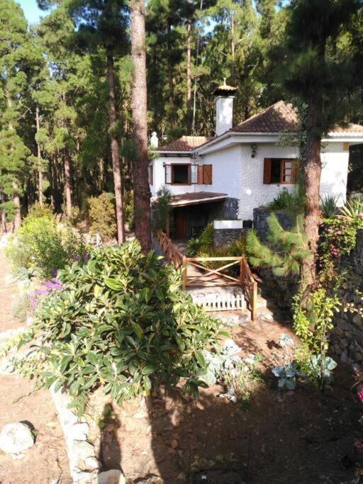 Holiday home Floral Garden House *