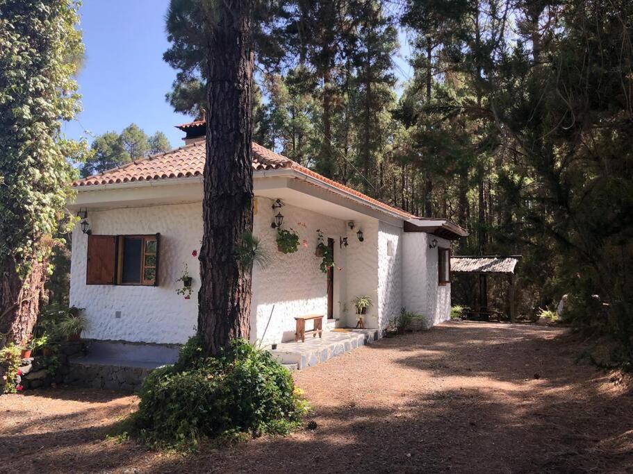Floral Garden House Icod De Los Vinos