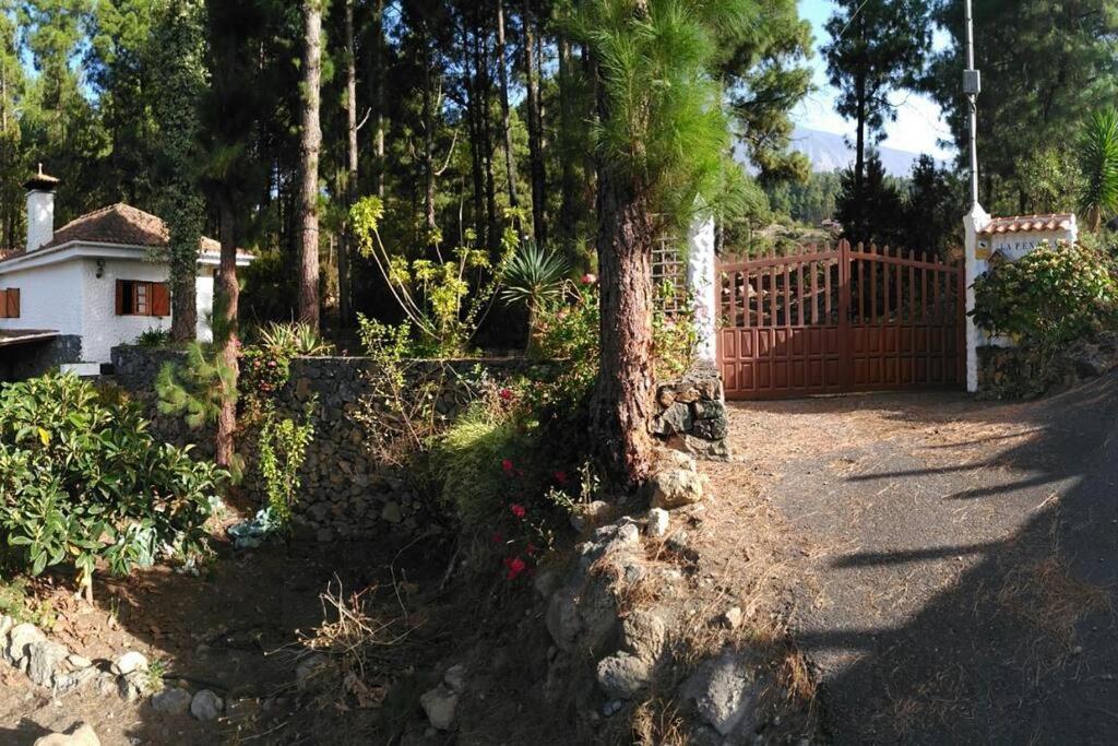 Floral Garden House * Icod De Los Vinos