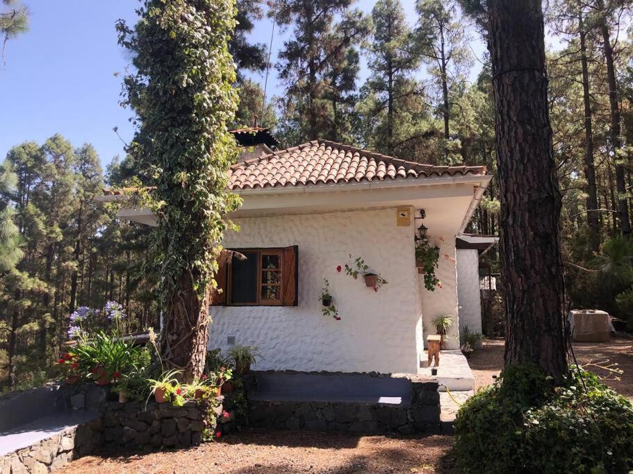 Hébergement de vacances Floral Garden House