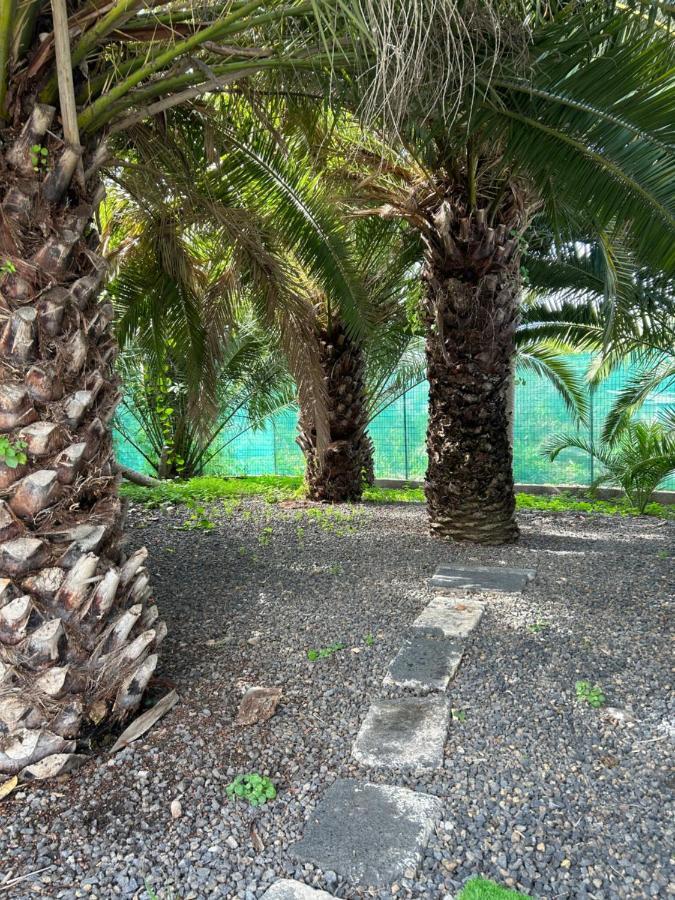 Сasa de vacaciones Casa Beatriz La Orotava