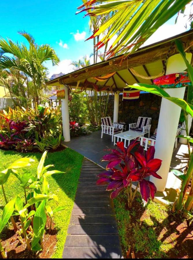 Homestay La Selvita *