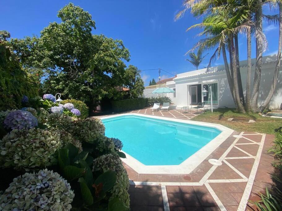 El Castanero Apartment Tacoronte