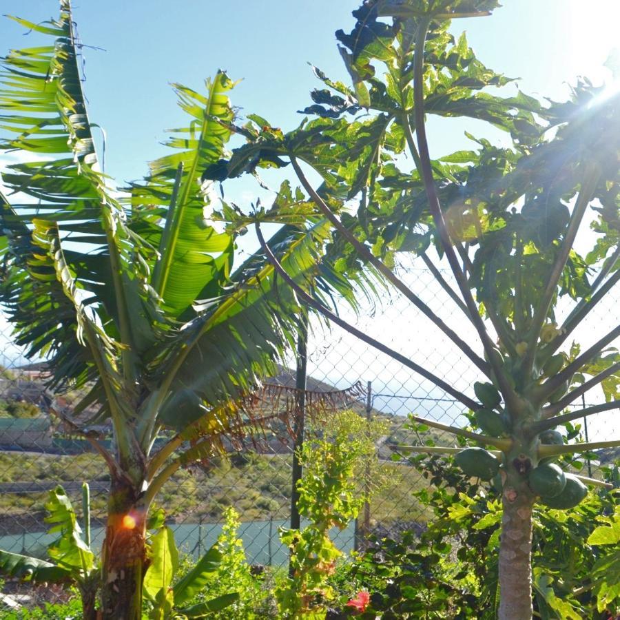 La Casa Del Barranco Hébergement de vacances Fasnia